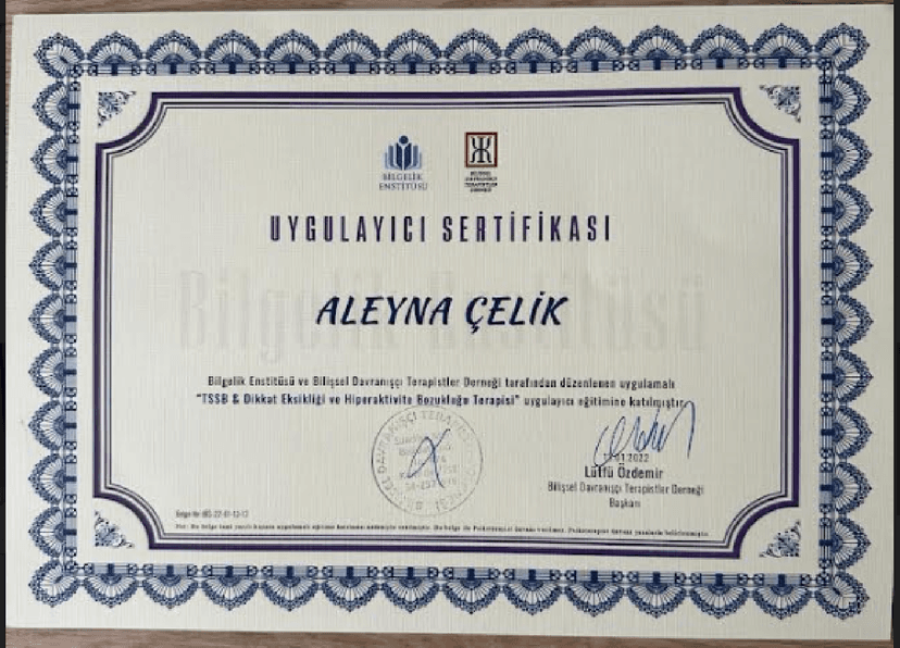 TSSB Dikkat Eksikliği ve Hiperaktivite Bozukluğu Terapisi