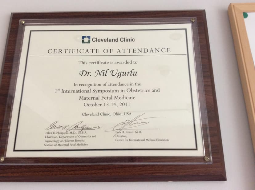 Certificate Of Attendance