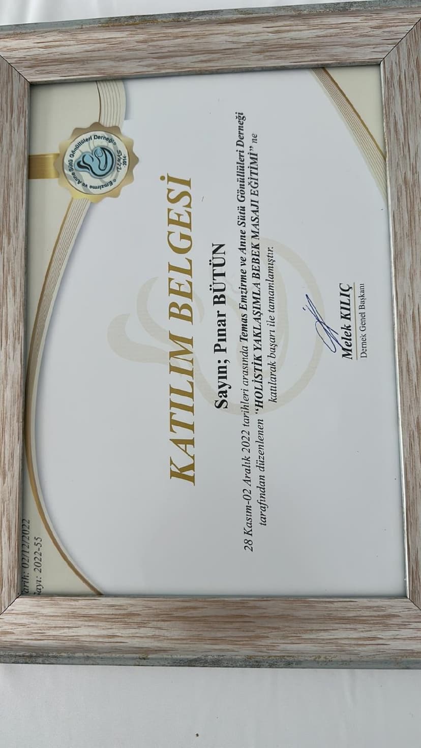 holistik tip bebek masajı eğitimi