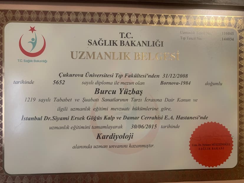 UZMANLIK BELGESİ