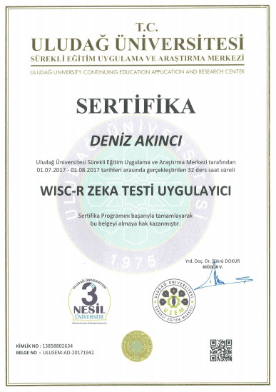 WISC-R Zeka Testi Uygulayıcı