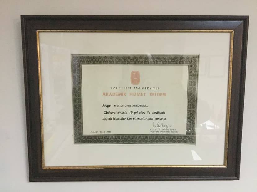 Akademik Hizmet Belgesi