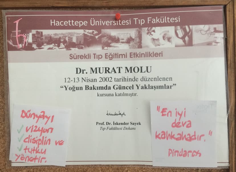 Hacettepe Üniversitesi Tıp Fakültesi Yoğun Bakım Güncel Yaklaşımlar