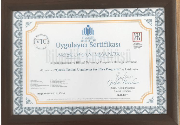 ÇOCUK TESTLERİ UYGULAYICI SERTİFİKA PROGRAMI
