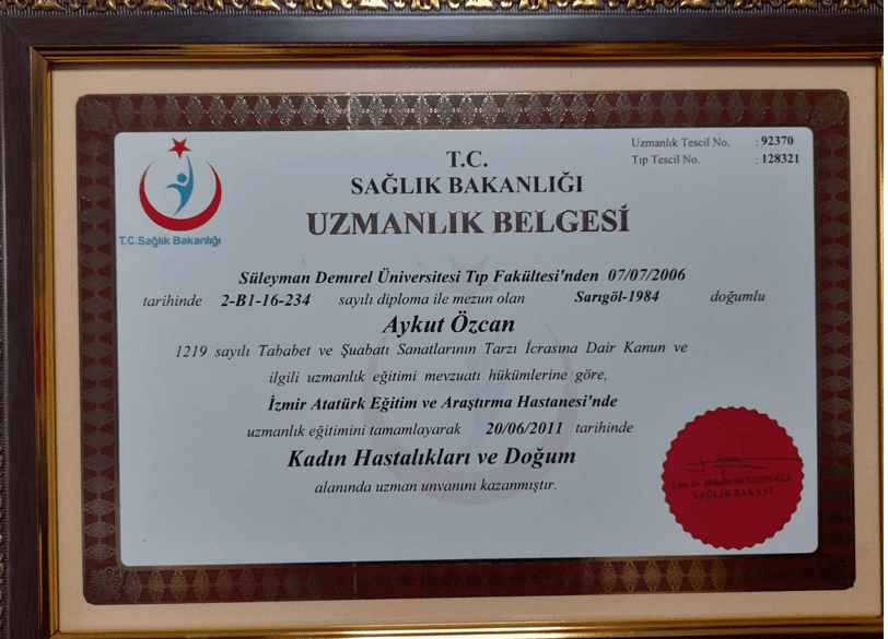 Uzmanlık Belgesi