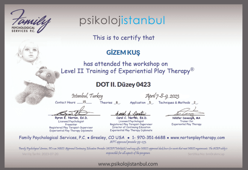 DENEYİMSEL OYUN TERAPİSİ 2. DÜZEY