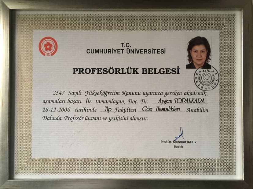 Profesörlük Belgesi