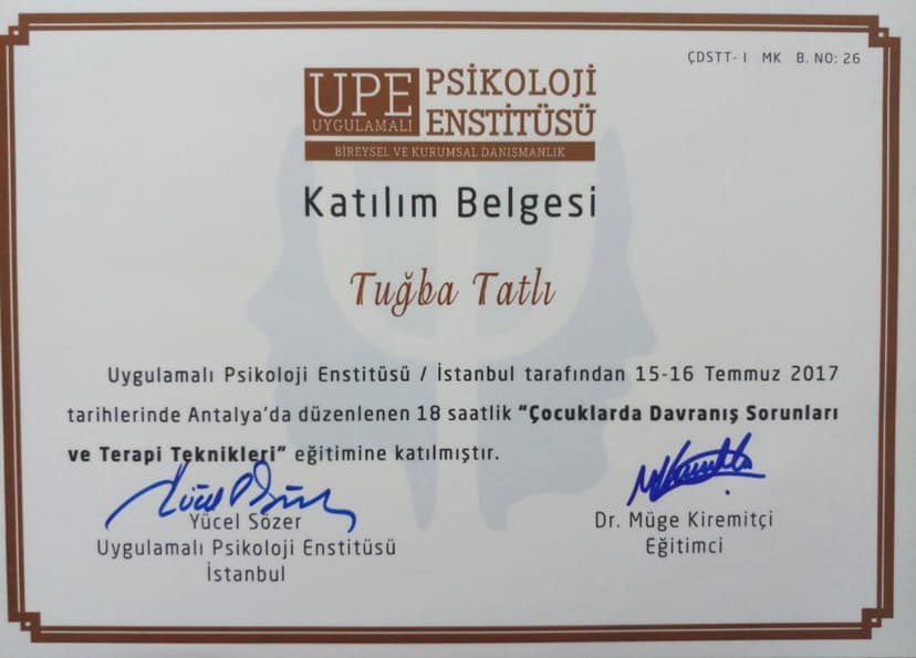 Çocuklarda Davranış Sorunları ve Terapi Teknikleri