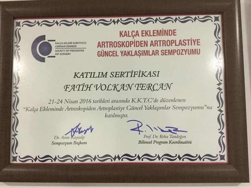 Kalça Ekleminde Artroskopiden Artroplastiye Güncel Yaklaşımlar