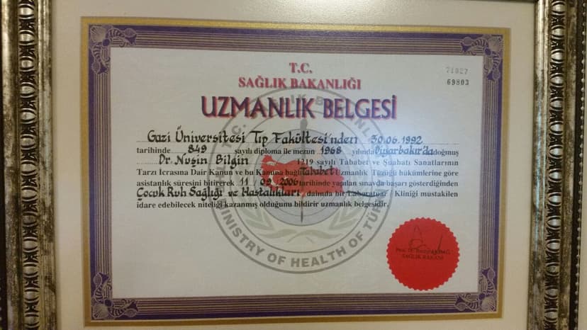Uzmanlık Belgesi