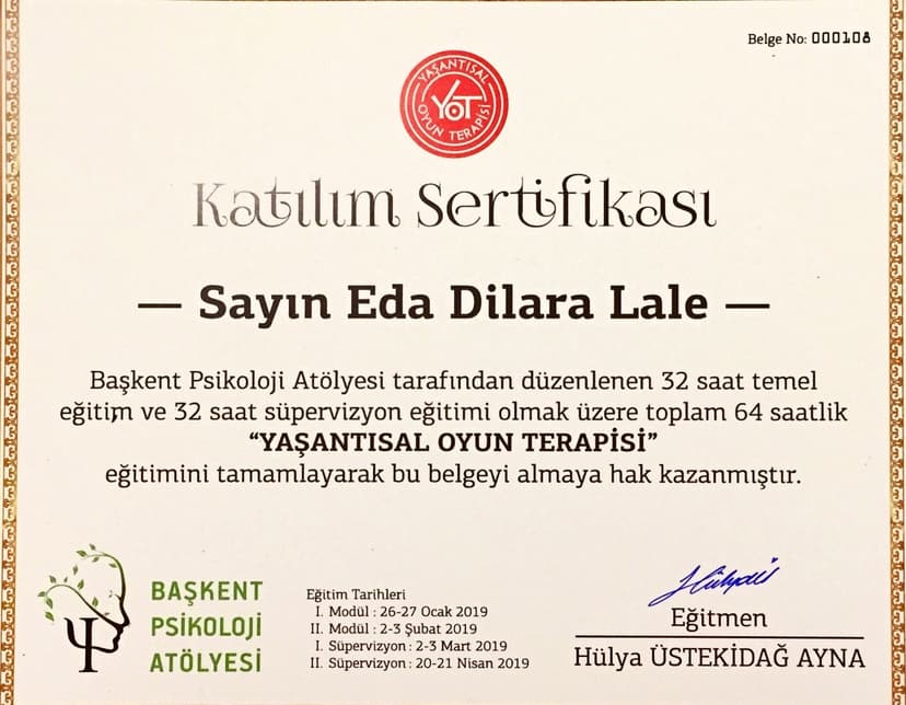 Oyun Terapisi