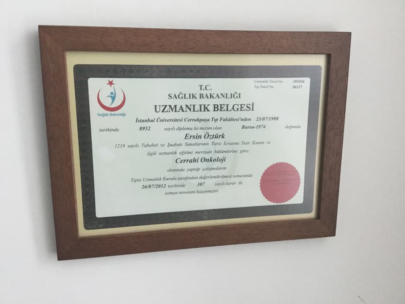 Uzmanlık Belgesi