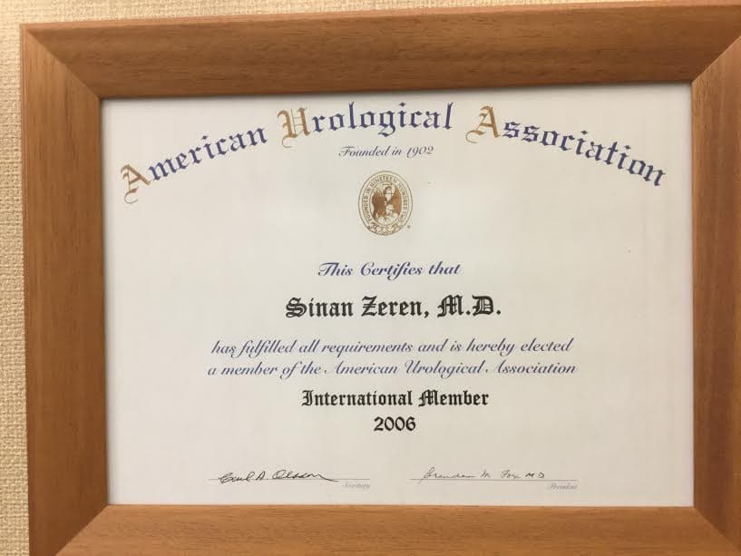 Member of the American Urological Association