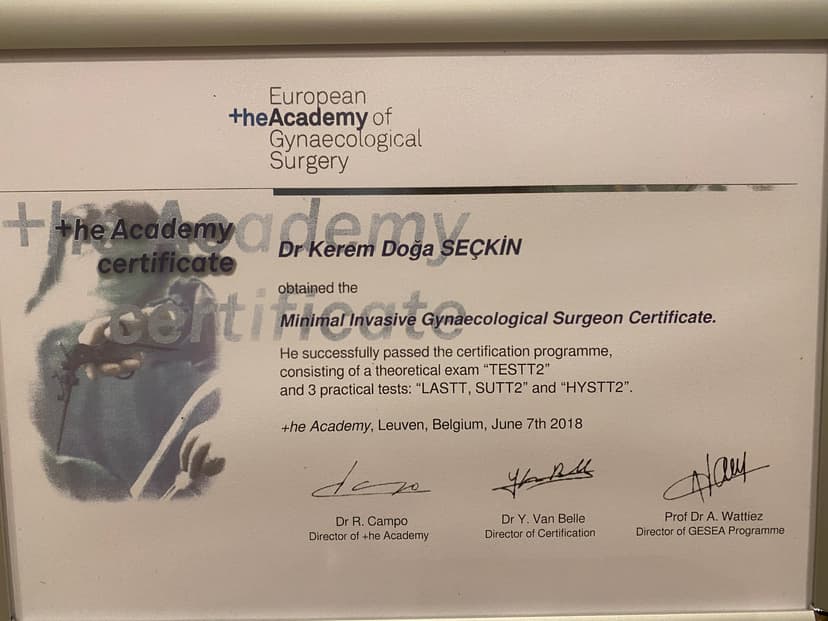 ESGE Minimal Invasive Gynaecological Surgeon Certificate. Leuven, Belgium June 2018