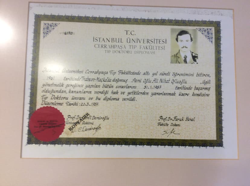 istanbul üni. cerrahpaşa tıp fakültesi diploması