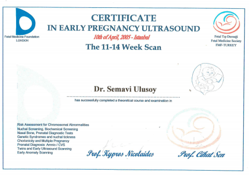 Certificate in Early Pregnancy Ultrasound