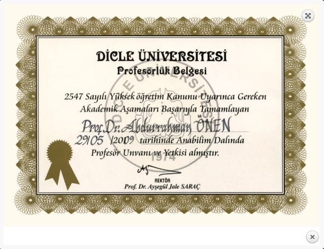 Profesörlük belgesi