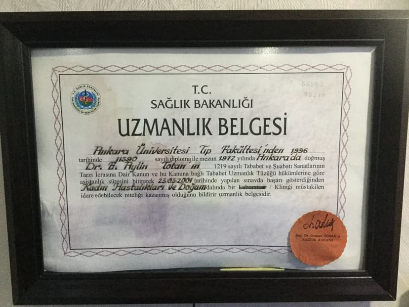 Uzmanlık Belgesi