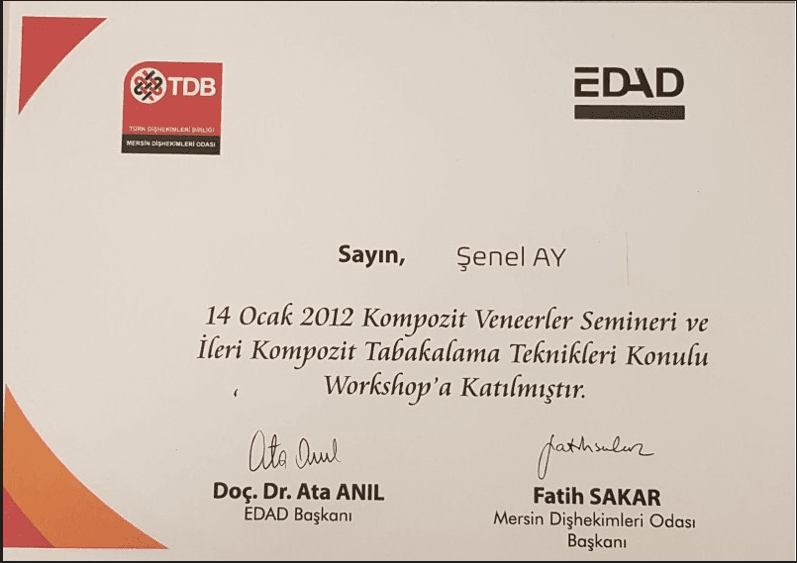 KOMPOZİT VENEERLER SEMİNERİ  VE İLERİ KOMPOZİT TABAKALAMA TEKNİKLERİ KONULU WORKSHOP