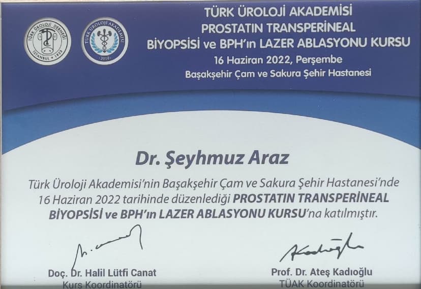 Prostatın transperineal biyopsisi ve BPH'ın lazer ablasyonu kursu