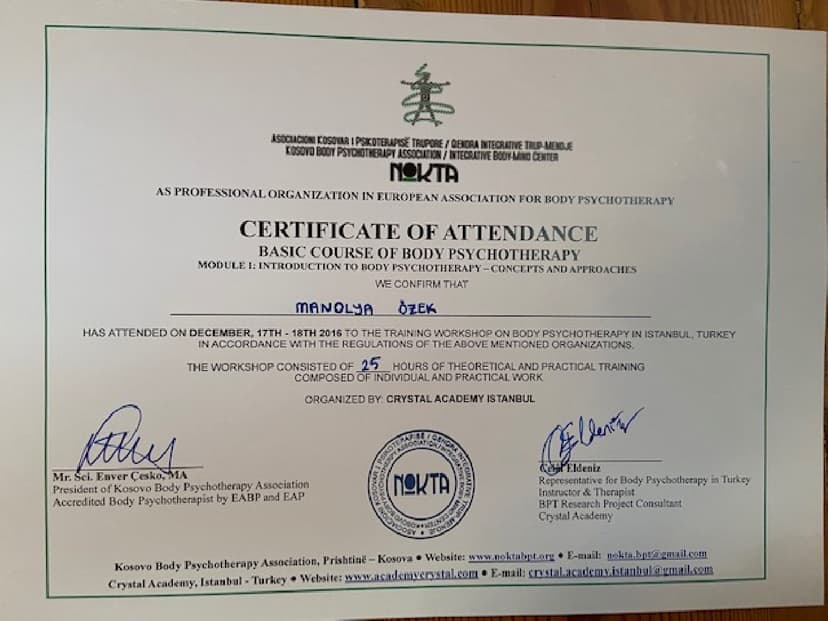 BASİC COURSE OF BODY PSYCHOTHERAPY