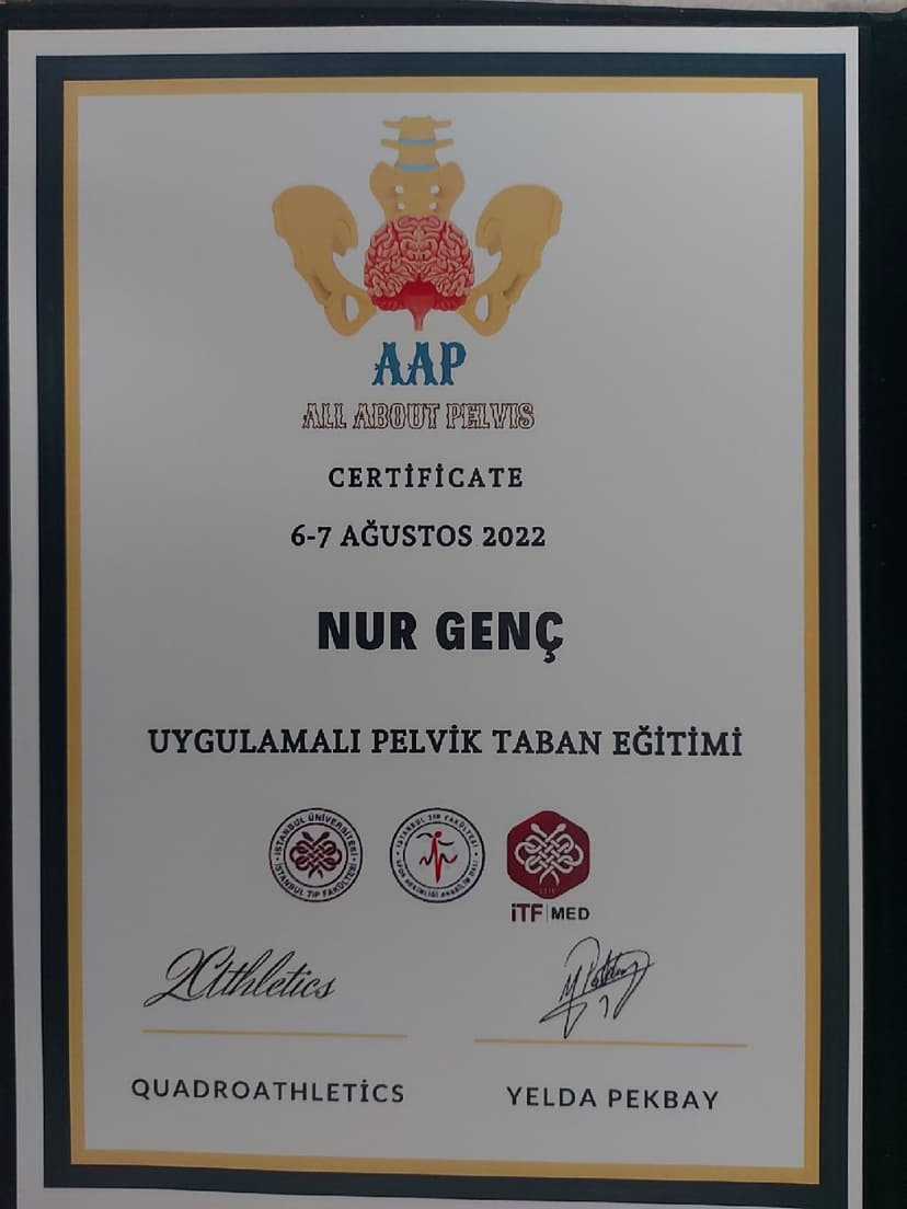 Pelvik Taban Rehabilitasyonu