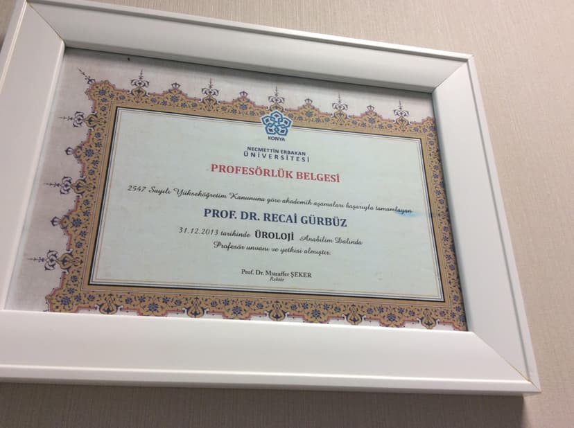 Profesörlük Belgesi