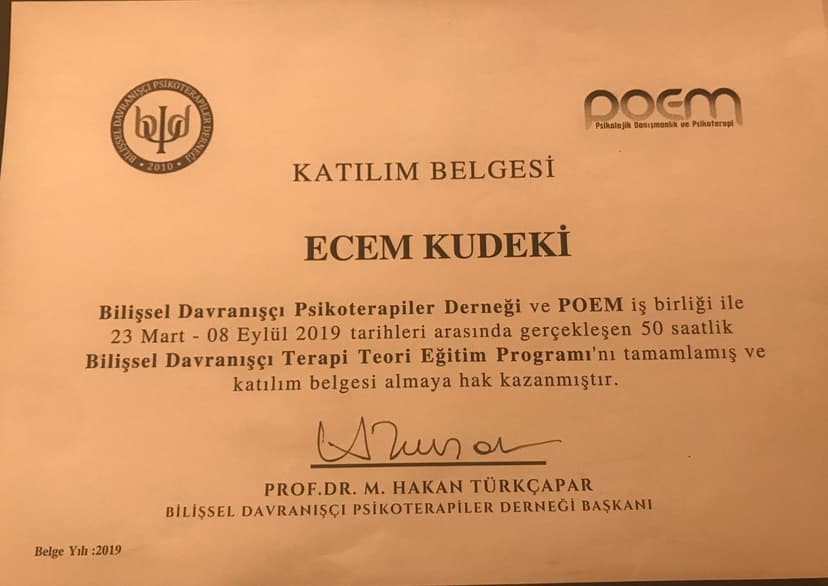 Bilişsel Davranışçı Terapi Eğitimi