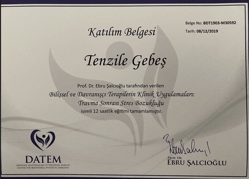 Bilişsel ve Davranışçı Terapilerin Klinik Uygulamaları; Travma Sonrası Stres Bozukluğu