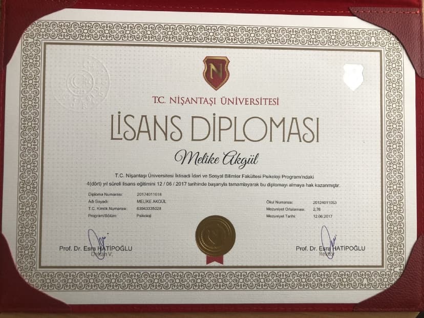 Lisans Diploması