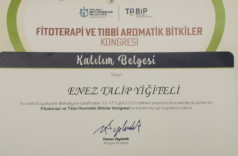 Tamamlayıcı Tıp