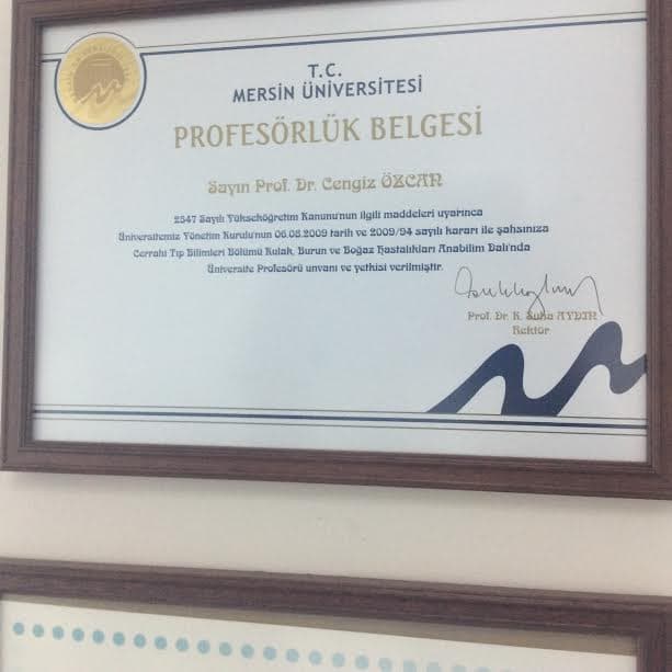 Profesörlük Belgesi