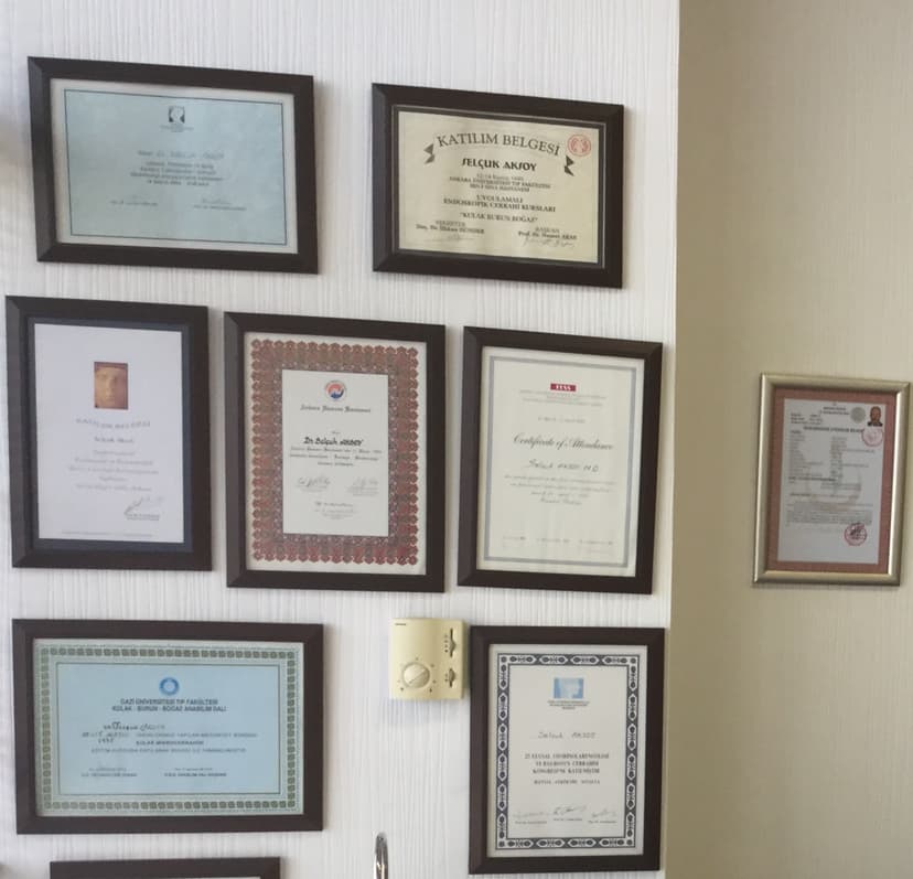 Diploma ve Sertifikalar