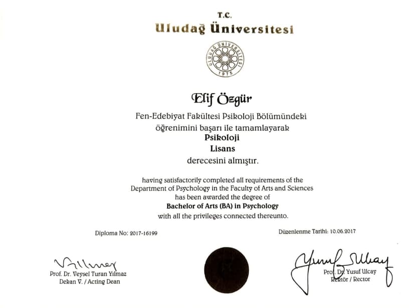 Lisans Diploması