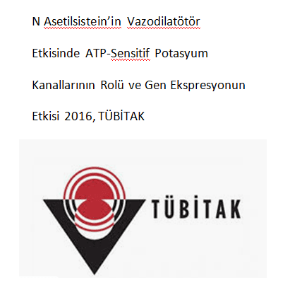 N Asetilsistein’in Vazodilatötör Etkisinde ATP-Sensitif Potasyum Kanallarının Rolü ve Gen Ekspresyonun Etkisi 2016, TÜBİTAK