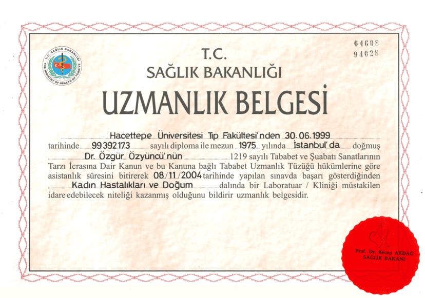 Uzmanlık Belgesi
