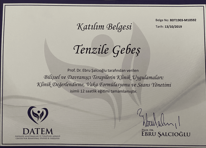 Bilişsel ve Davranışçı Terapilerin Klinik Uygulamaları; Klinik Değerlendirme Vaka Formülasyonu ve Seans Yönetimi