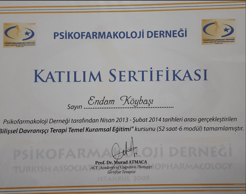 bilişsel davranışçı terapi temel kuramsal eğitimi