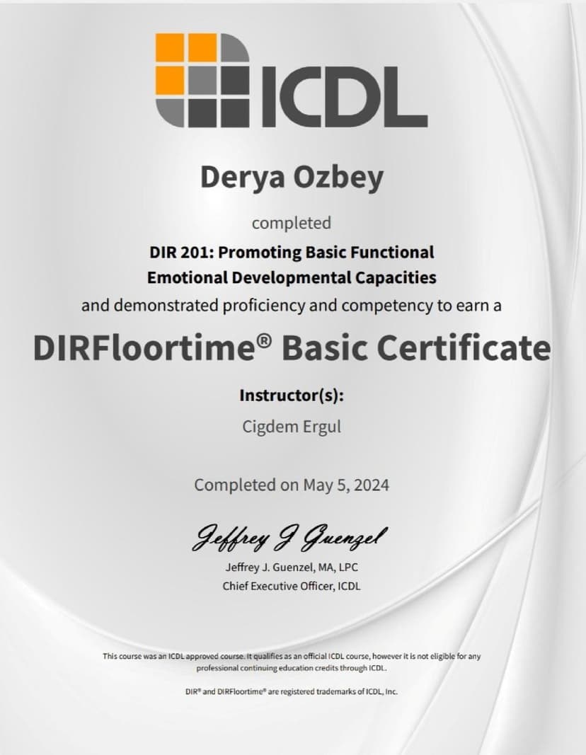 DIR 201: Promoting Basic Functional Emotional Developmental Capacities