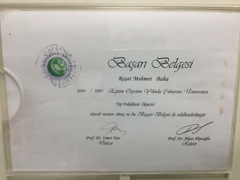 Çukurova Üniversitesi 2. Lik Belgesi