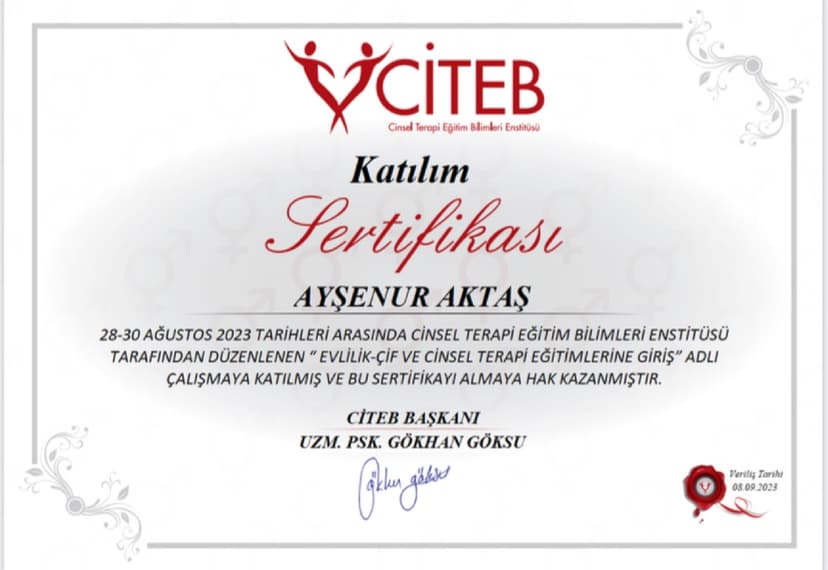 Evlilik ve Cinsel Terapi Eğitimlerine Giriş