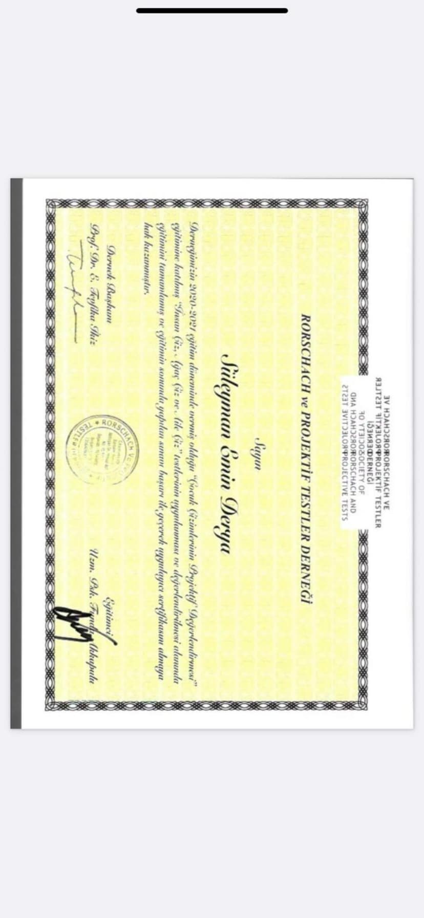 Çocuk Çizimlerinin Projektif Değerlendirmesi