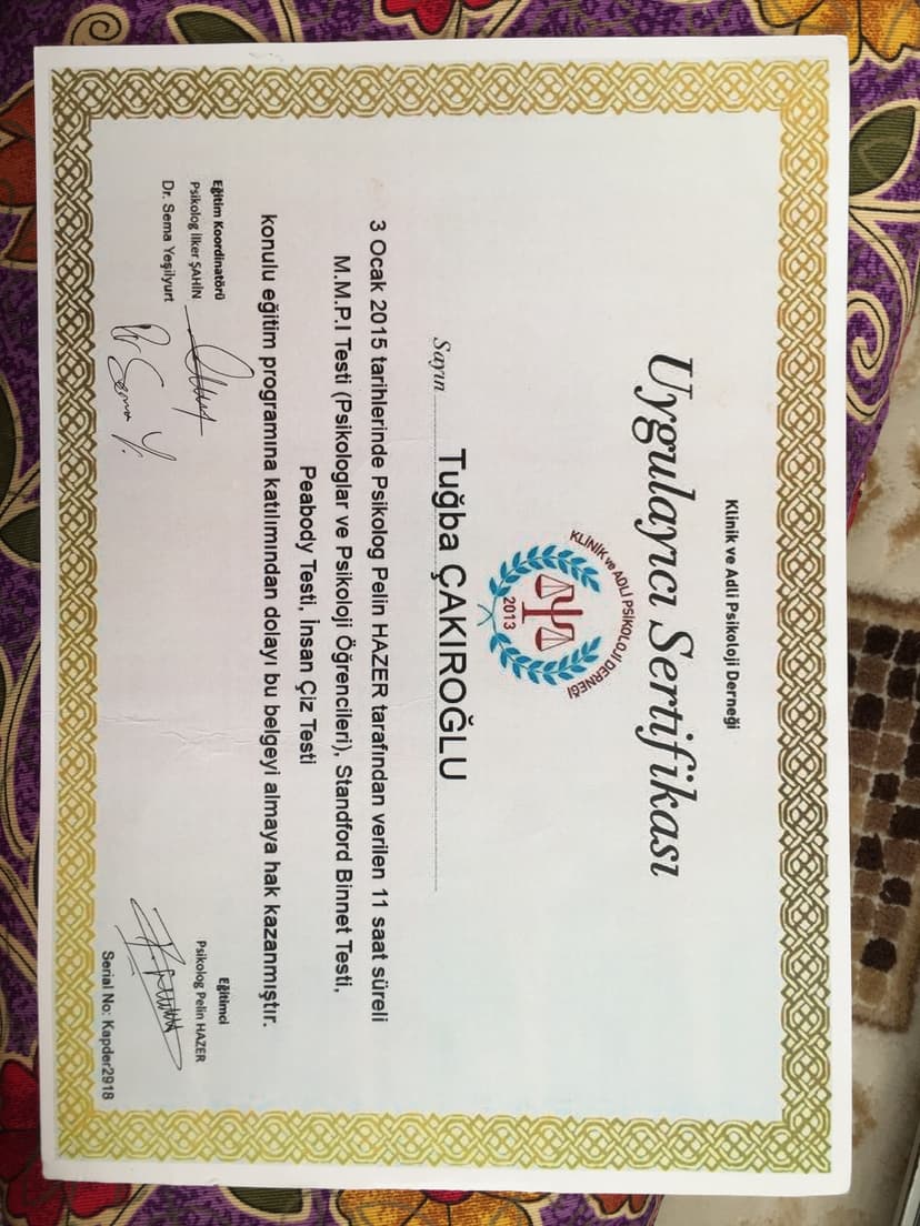 Zeka gelişim testleri