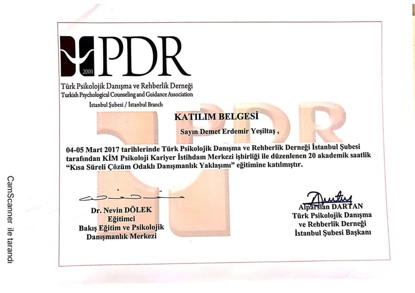 Kısa Süreli Çözüm Odaklığı