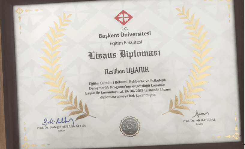 LİSANS DİPLOMASI