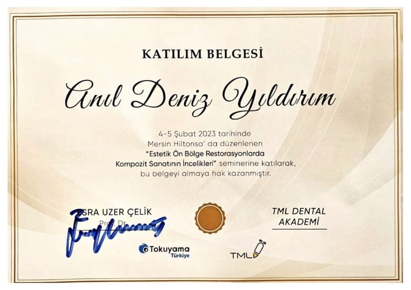 Estetik Ön Bölge Kompozit Dolgu