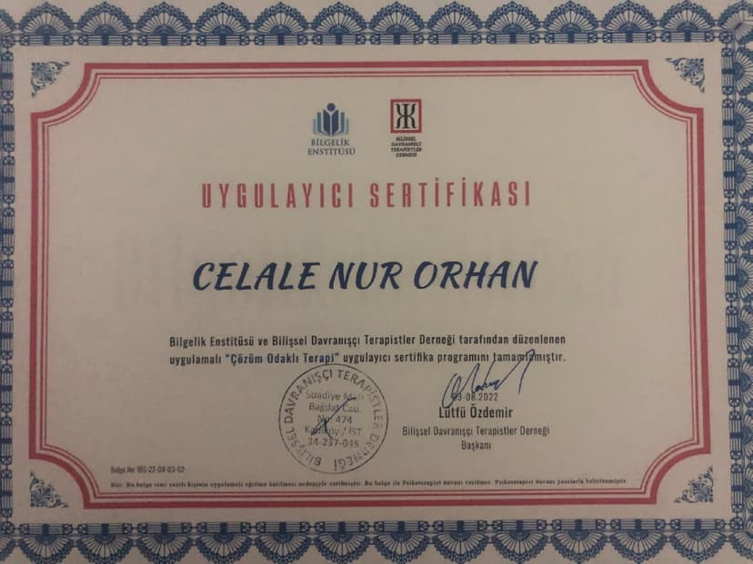 Çözüm Odaklı Terapi