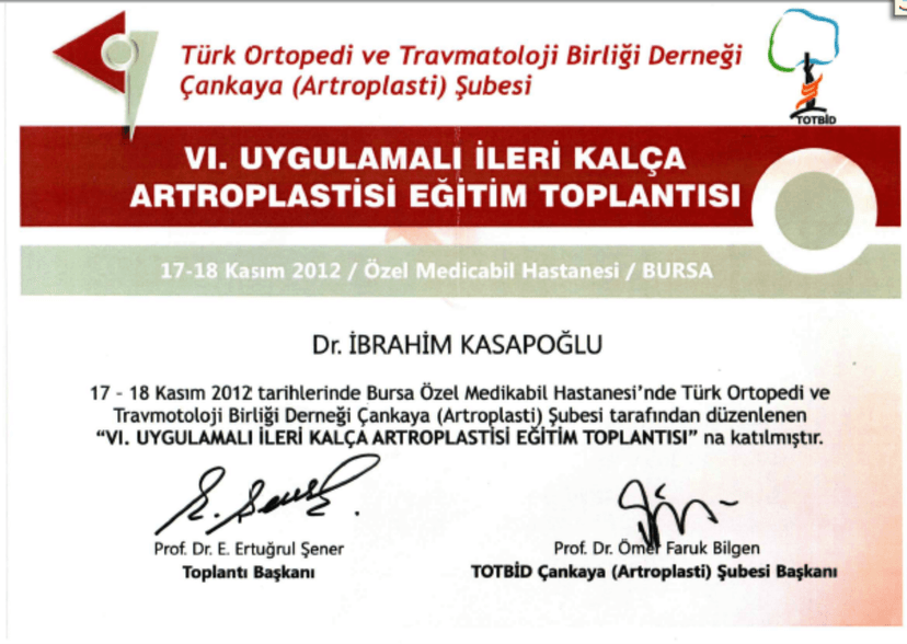 İleri Kalça protezi