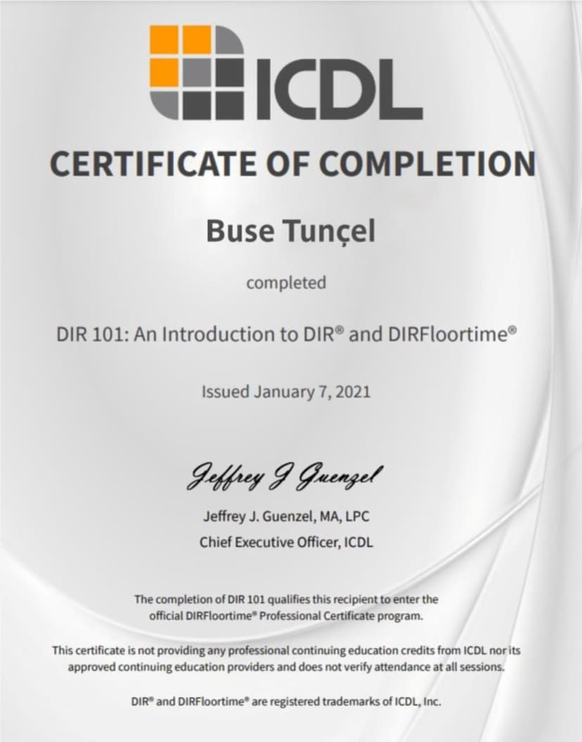 DIR Floortime 101