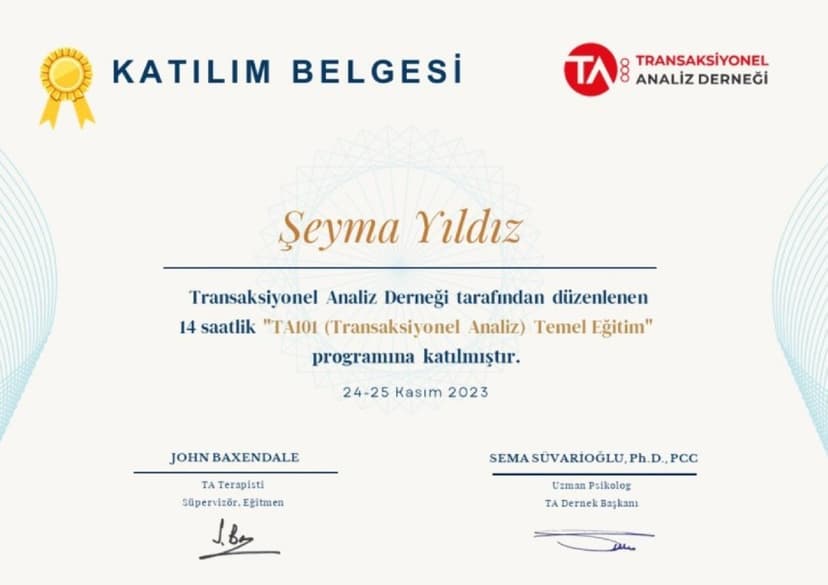 Transasiyonel Analiz 101